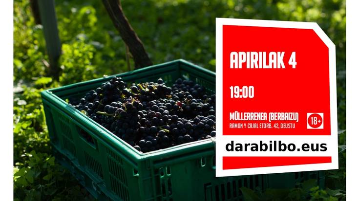 DARABILBO: Txakolin dastaketa