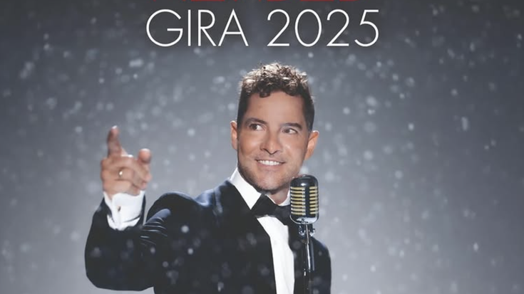 David Bisbal Miribillan