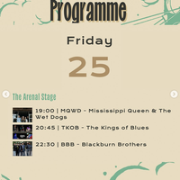 Bilbao Blues Festival: kontzertuak Areatzan