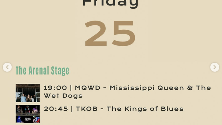Bilbao Blues Festival: kontzertuak Areatzan