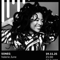 VALERIE JUNE Bilborocken