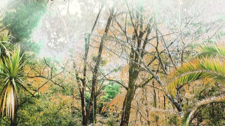 Kultur Gabonak: Entre flores antzerkia