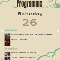 Bilbao Blues Festival: kontzertuak Areatzan