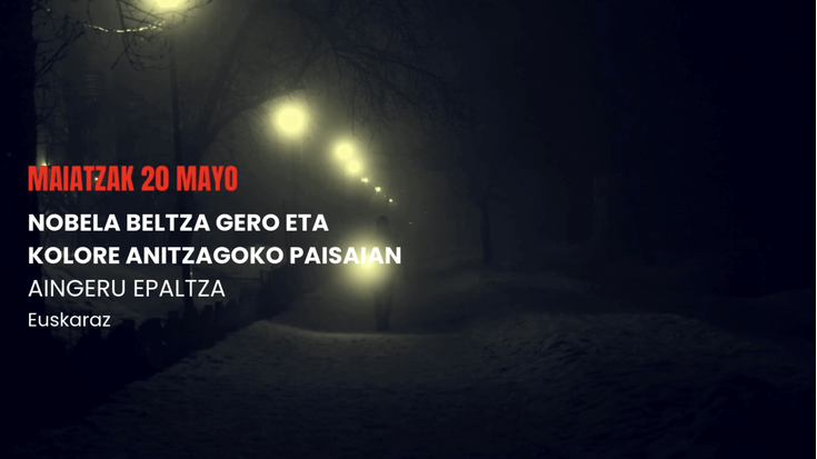 Udaberri beltza: NOBELA BELTZA GERO ETA KOLORE ANITZAGOKO PAISAIAN hitzaldia (III) Foru Liburutegian
