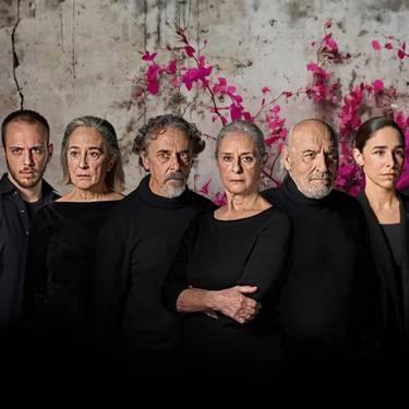 TODOS PÁJAROS antzezlana Arriaga Antzokian