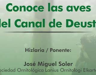 Ezagutu Deustuko Kanaleko Hegaztiak: hitzaldia urriak 23