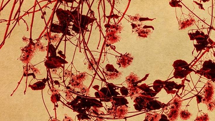 GORKA URBIZU Santana 27 Aretoan (Sala Gold)