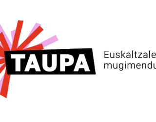 TAUPAK, AZKEN EPAIAREN HARIRA