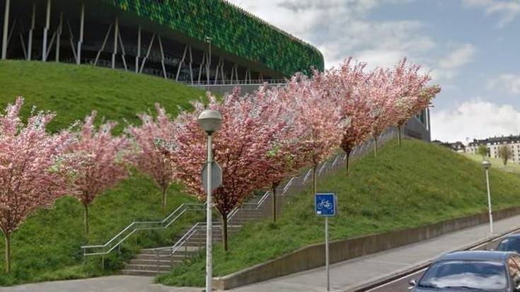 32 zuhaitz landatuko dituzte Bilbao Arenaren ondoko ezpondetan